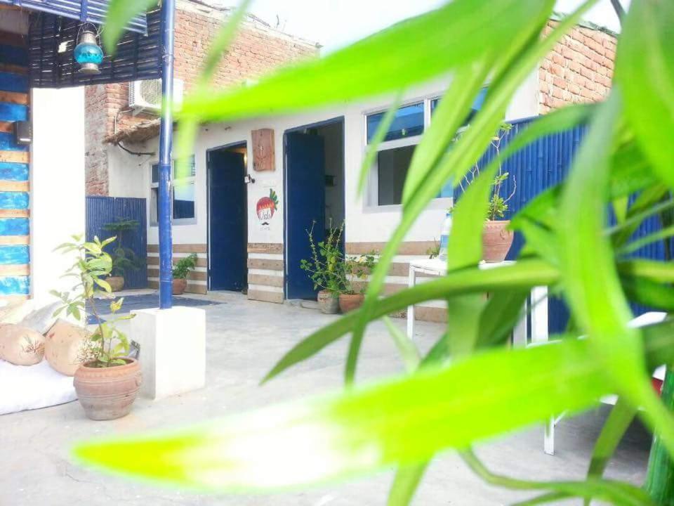 Eco Family Hostel ชัยปุระ ภายนอก รูปภาพ